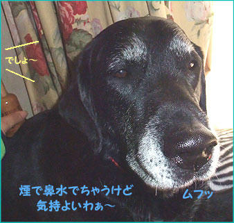 100402_1.jpg