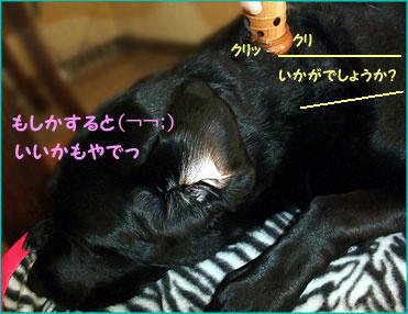 100402_5.jpg