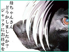 100402_9.jpg