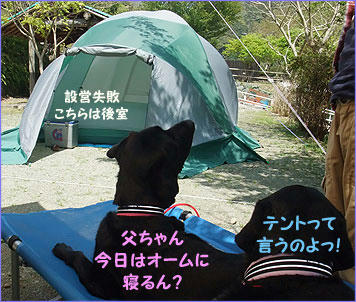 100430_3.jpg