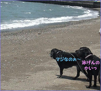 100430_5.jpg