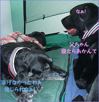 100430_6.jpg