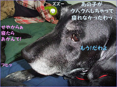 100430_7.jpg