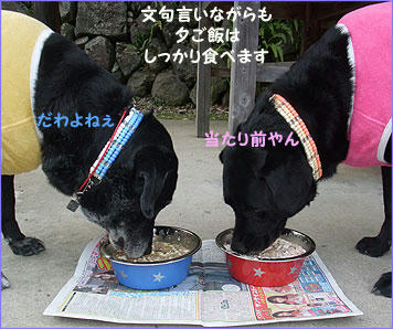 100430_11.jpg