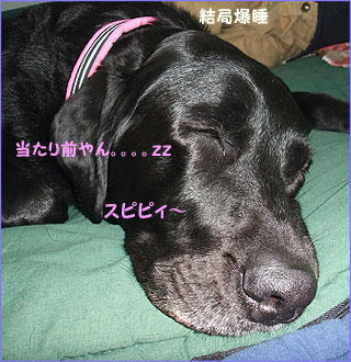 100430_13.jpg
