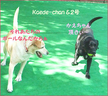 100501_11.jpg