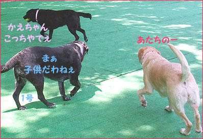 100501_12.jpg