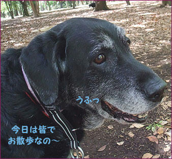 100505_1.jpg