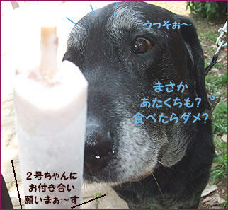100505_4.jpg