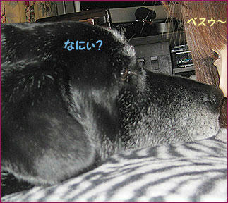 100505_8.jpg