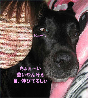 100505_9.jpg