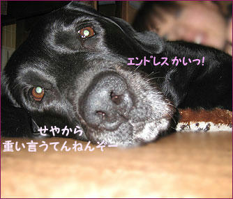 100505_10.jpg
