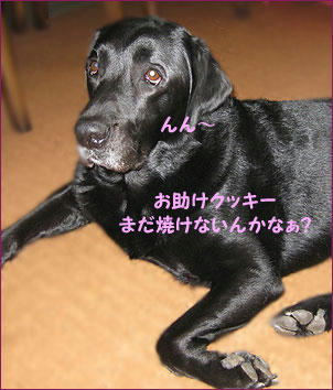100505_11.jpg