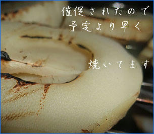 1005010_8.jpg