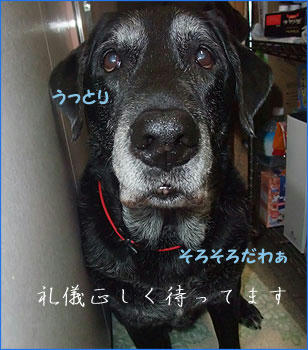 1005010_9.jpg