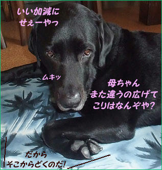 100525_9.jpg