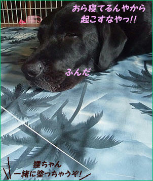 100525_10.jpg