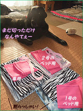 100525_11.jpg