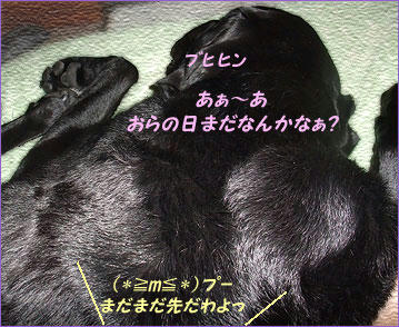 100620_10.jpg