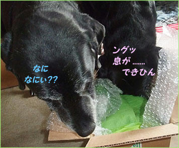 100622_1.jpg