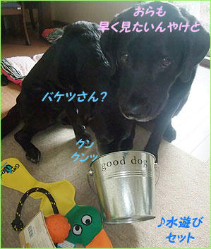 100622_3.jpg