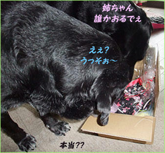 100622_7.jpg