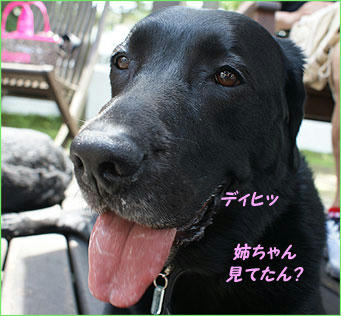 100712_12.jpg