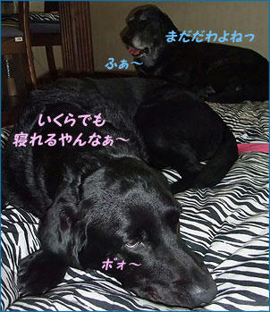 100722_6.jpg