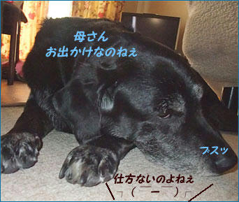 100722_10.jpg