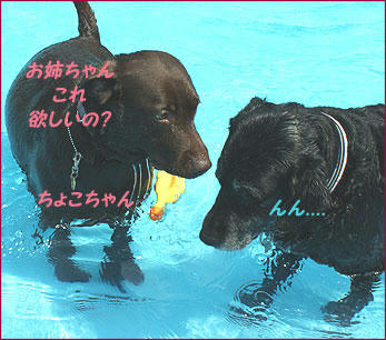 100726_2.jpg
