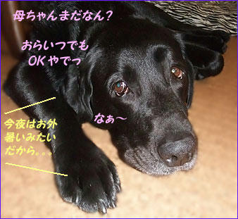 100802_1.jpg