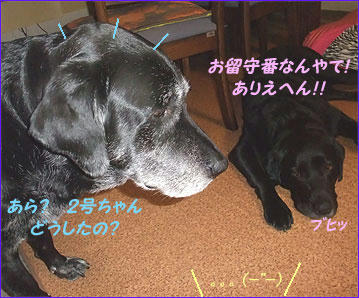 100802_3.jpg