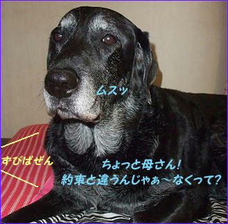 100802_4.jpg