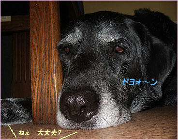 100809_2.jpg
