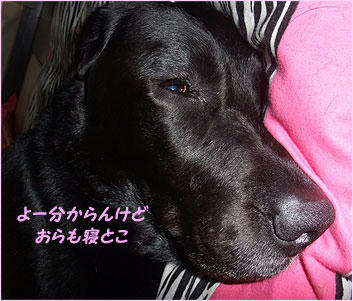 100809_8.jpg