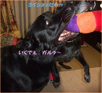 100823_3.jpg