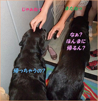 100823_7.jpg