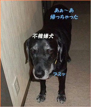 100823_8.jpg