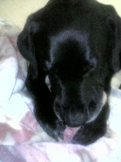 050912_1.jpg