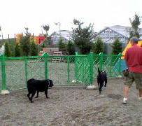 050926_1.jpg