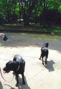 050926_2.jpg