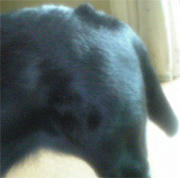 051003_1.jpg