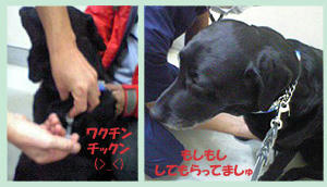 051111_1.jpg