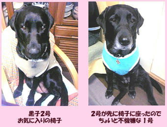 051123_1.jpg