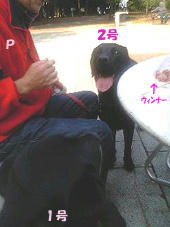 051125_1.jpg