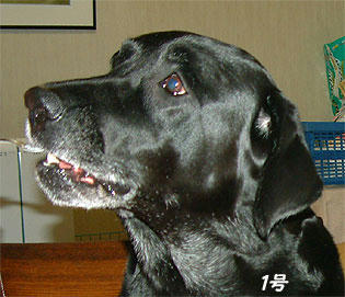 051114_4.jpg
