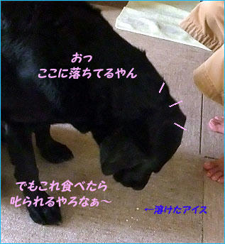 100825_6.jpg