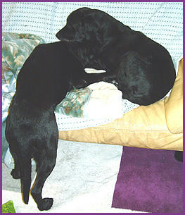 060104_2.jpg