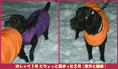 060122_2.jpg