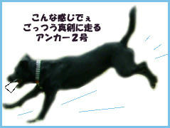 060128_1.jpg
